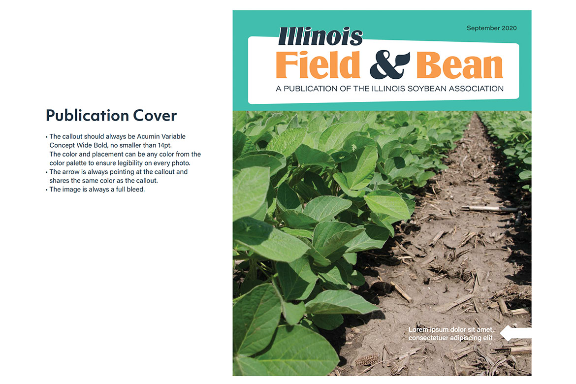 Illinois Field & Bean Magazine layout
