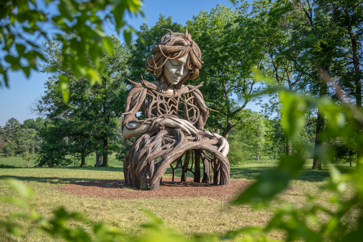 Morton Arboretum Exhibit Ross Creative Works