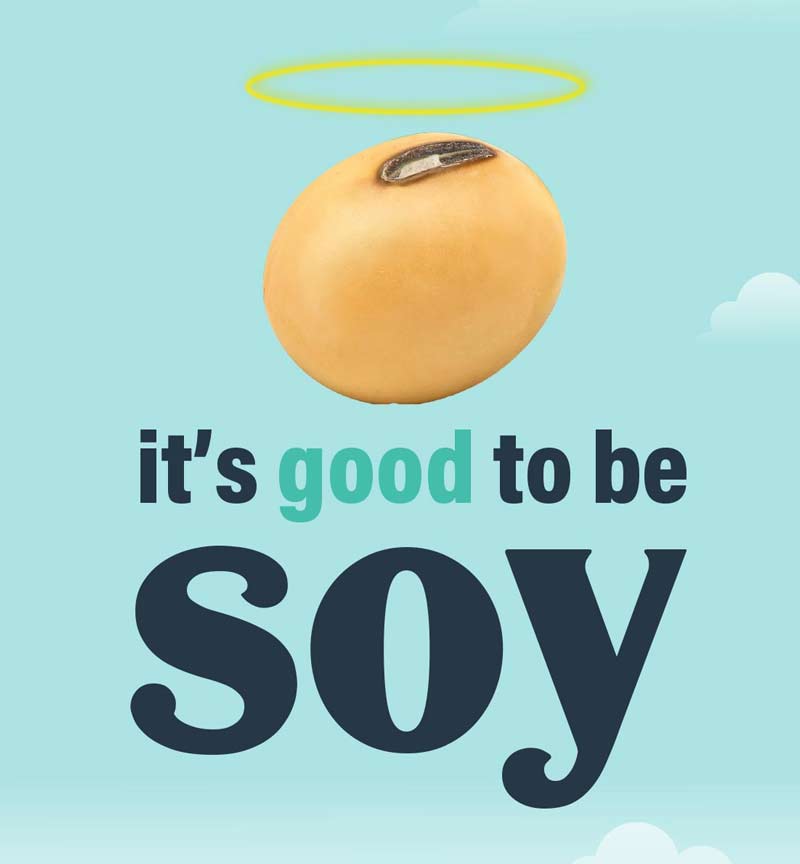 example of brand development for the Illinois Soybean Association
